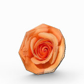 Bloc Photo Rose de plage (Gauche)