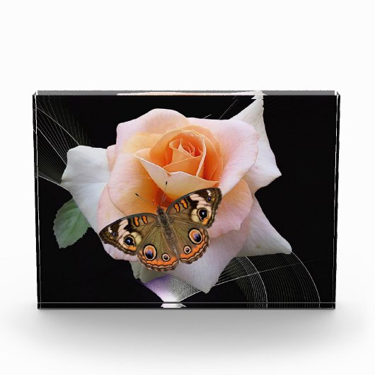 Bloc Photo Rose et papillon (Devant)