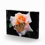 Bloc Photo Rose et papillon (Droite)