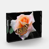 Bloc Photo Rose et papillon (Gauche)