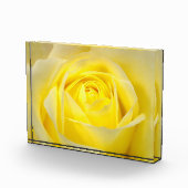 Bloc Photo Rose jaune (Droite)