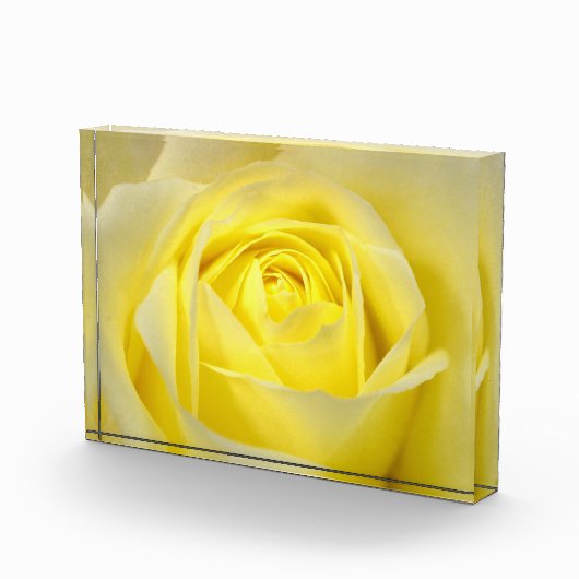 Bloc Photo Rose jaune (Droite)