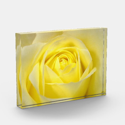 Bloc Photo Rose jaune (Gauche)