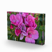 Bloc Photo rose lavande (Droite)
