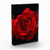 Bloc Photo Rose rouge pbcna (Gauche)