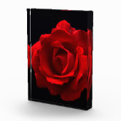 Bloc Photo Rose rouge pbcna (Droite)