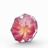 Bloc photo Rosy (Gauche)
