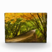 Bloc Photo Route de la campagne à l'automne (Devant)