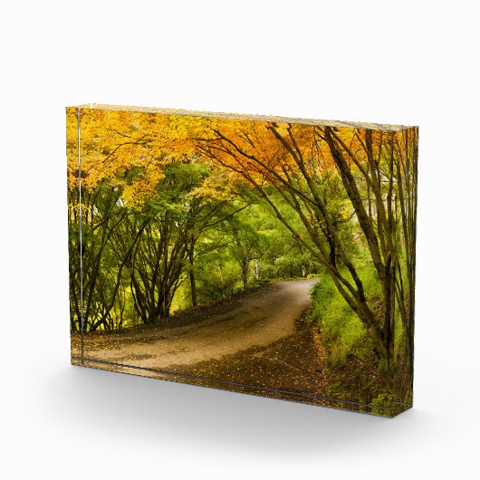 Bloc Photo Route de la campagne à l'automne (Droite)