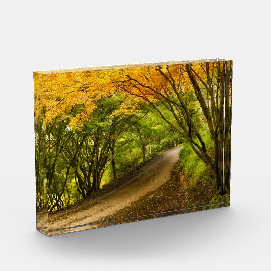 Bloc Photo Route de la campagne à l'automne (Gauche)