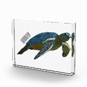 Bloc Photo Sea turtle cartoon (Droite)