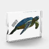 Bloc Photo Sea turtle cartoon (Gauche)