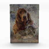 Bloc Photo Séparateur irlandais avec bécasse (Devant)