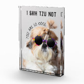 Bloc Photo Shih Tzu Pas amusant mignon amoureux de les chiens (Droite)