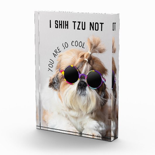 Bloc Photo Shih Tzu Pas amusant mignon amoureux de les chiens (Droite)