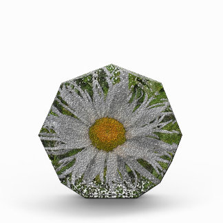 Bloc Photo Show Me A Daisy #1