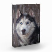 Bloc Photo Sibérien Husky (Gauche)