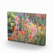 Bloc Photo Sierra fleurs sauvages de babeurre (Droite)