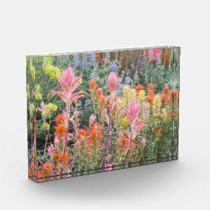 Bloc Photo Sierra fleurs sauvages de babeurre