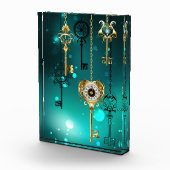 Bloc Photo Skeleton Keys on Green Background (Droite)