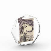 BLOC PHOTO #SNOOPY AKA #JOECOOL (Gauche)