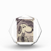 BLOC PHOTO #SNOOPY AKA #JOECOOL (Devant)