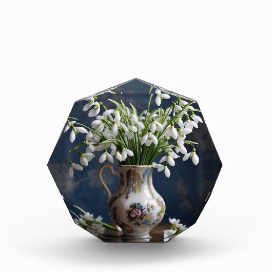 Bloc Photo Snowdrops (Devant)