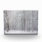 Bloc Photo Snowy Woods (Devant)