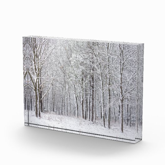 Bloc Photo Snowy Woods (Droite)