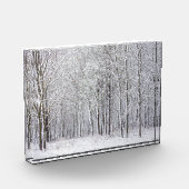 Bloc Photo Snowy Woods (Gauche)