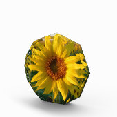 Bloc Photo Soleil tournesol (Droite)