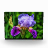Bloc Photo Splendide Fleur Iris (Devant)