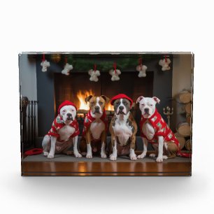 Bloc Photo Staffordshire américain près de la cheminée Noël