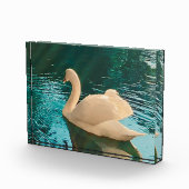 Bloc Photo Swan sur étang (Droite)