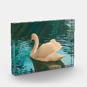 Bloc Photo Swan sur étang (Gauche)