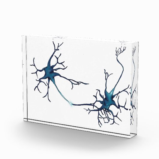 Bloc Photo Synapse Entre Neurons, Neuroscience Neuron (Droite)