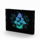 Bloc Photo Tabourets dans Bushes (Droite)