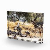 Bloc Photo Tarangire National Park (Droite)