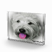 Bloc Photo Tenterfield Terrier. (Droite)