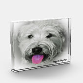 Bloc Photo Tenterfield Terrier. (Gauche)