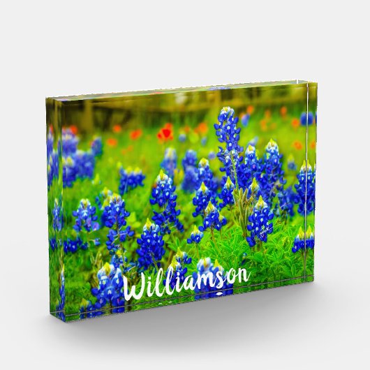 Bloc Photo Texas Bluebonnets Indian Paintbrush Nom de famille (Gauche)