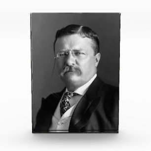Bloc Photo Theodore Roosevelt Teddy Président républicain