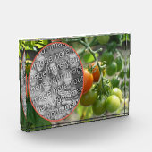 Bloc Photo Tomates de cerises de jardin Ajouter votre propre (Gauche)