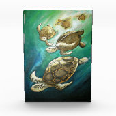 Bloc Photo Tortues Baignade au soleil (Devant)