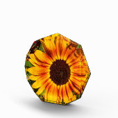 Bloc Photo Tournesol (Droite)