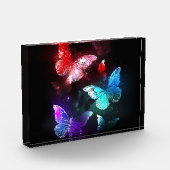 Bloc Photo Trois papillons brillants sur l'arrière - plan de (Gauche)