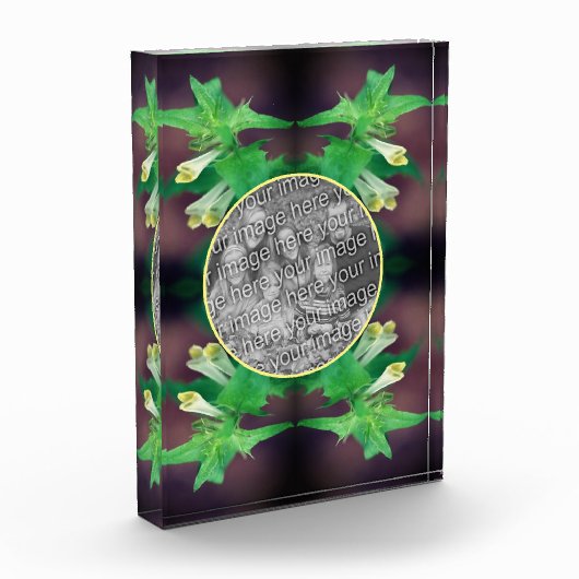 Bloc Photo Un Fleur sauvage blanc minuscule Créez votre propr (Gauche)