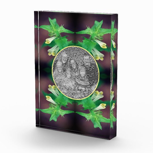 Bloc Photo Un Fleur sauvage blanc minuscule Créez votre propr (Droite)