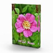 Bloc Photo Un Rose sauvage (Droite)