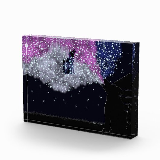 Bloc Photo Une nuit d'été avec Sirius (Droite)